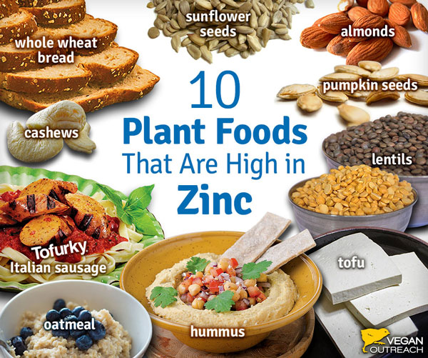 photo graphic by vegan outreach of vegan foods with zinc like sunflower seeds cashews almonds pumpkin seeds whole wheat bread lentils tofu hummus oatmeal