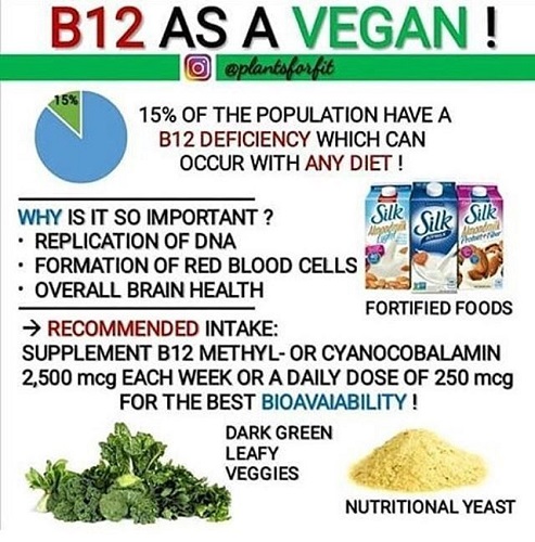 photo graphic by plants for fit of B12 vegan foods b12 fortified foods like soy milk dark green leafy veggies nutritional yeast