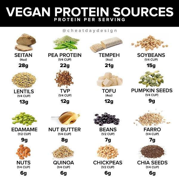 photo graphic by cheat day design of vegan protein most protein to least seitan pea protein tempeh soybean lentils tvp tofu pumpkin seeds edamame nut butter beans farro nuts like almonds quinoa chickpeas chia seeds
